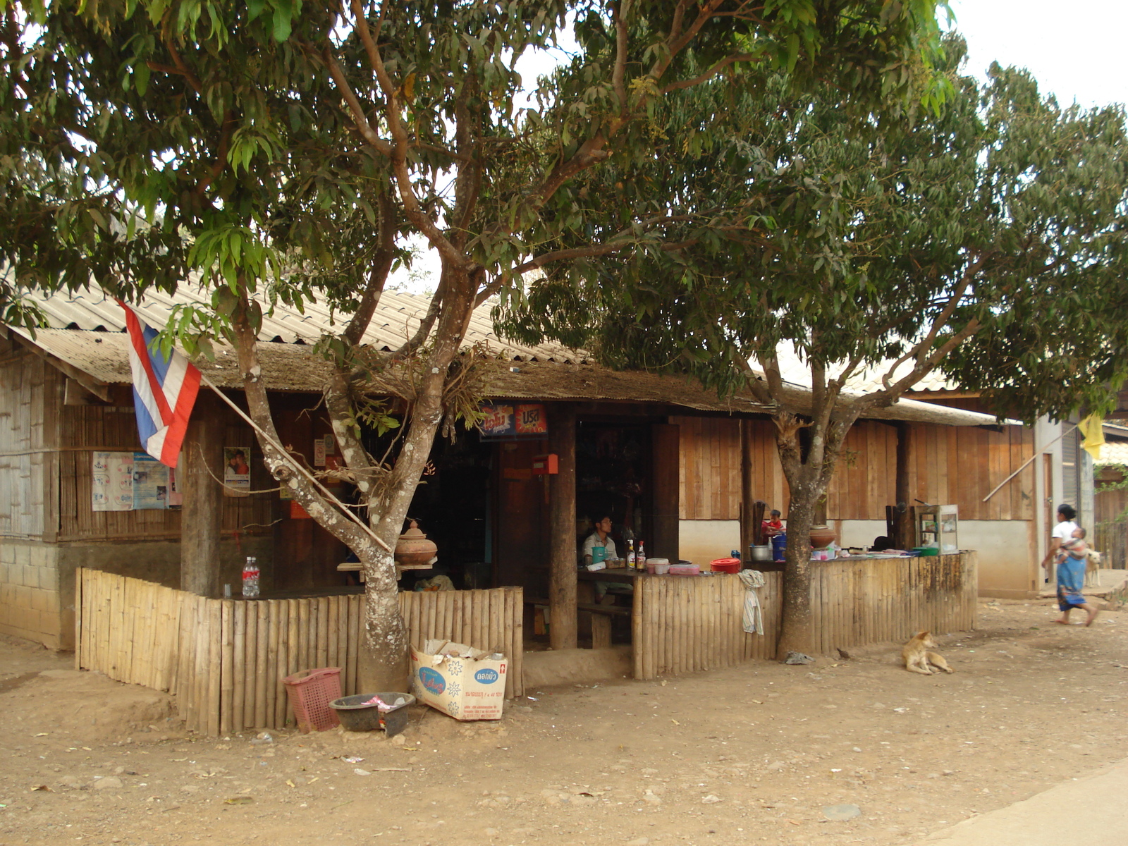 รูปถ่าย ไทย(Thailand) ปางมะผ้า(Pang Mapha) 2007-02 83