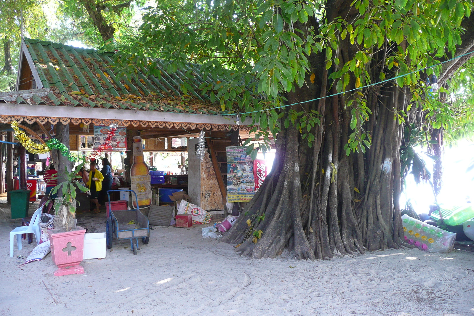 รูปถ่าย ไทย(Thailand) เกาะเสม็ด(Ko Samet) อ่าวช่อ(Ao Cho) 2009-01 31