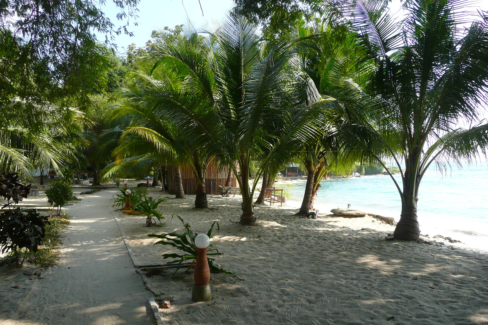 รูปถ่าย ไทย(Thailand) เกาะเสม็ด(Ko Samet) อ่าวช่อ(Ao Cho) 2009-01 27