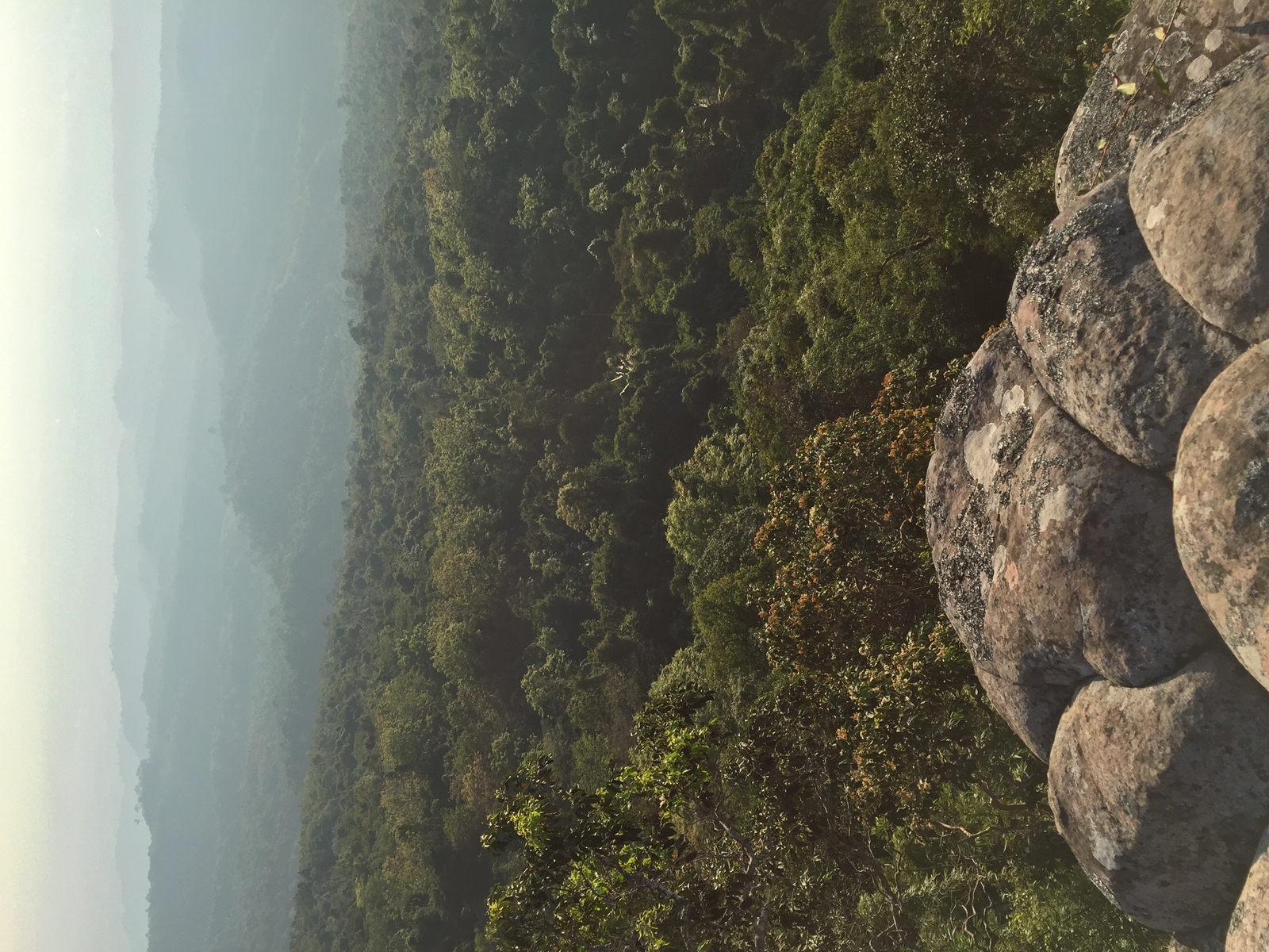รูปถ่าย ไทย(Thailand) อุทยานแห่งชาติภูหินร่องกล้า(Phu Hin Rong Kla National Park) 2014-12 55