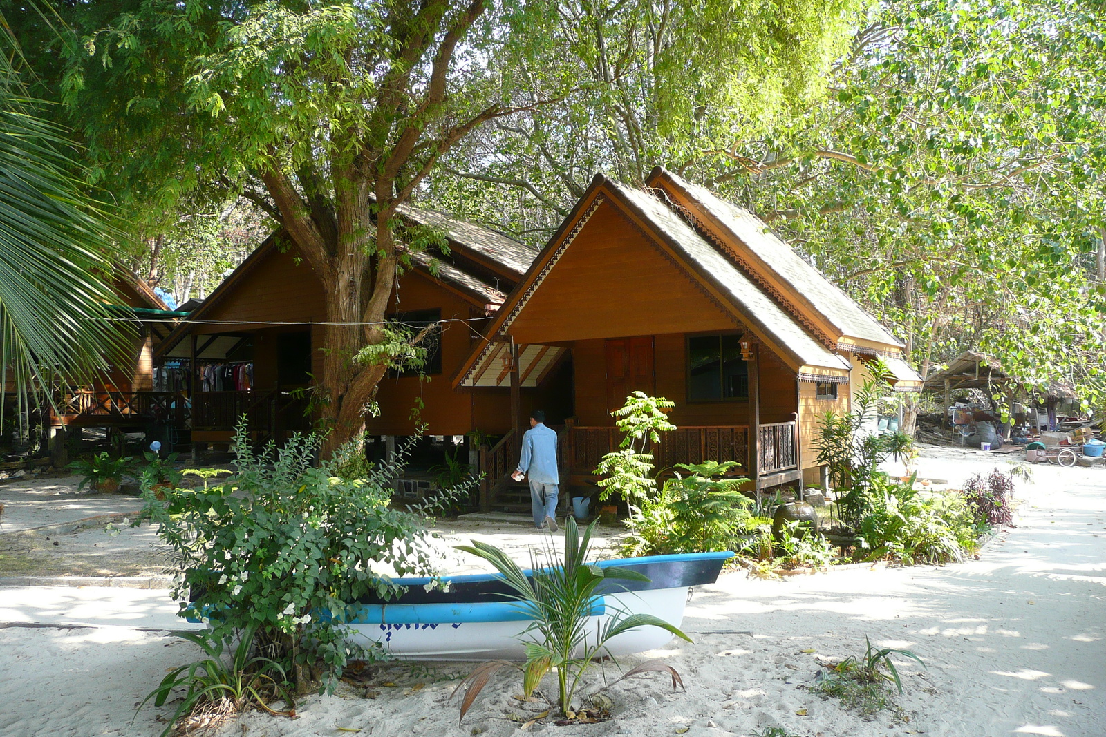 รูปถ่าย ไทย(Thailand) เกาะเสม็ด(Ko Samet) อ่าวช่อ(Ao Cho) 2009-01 35