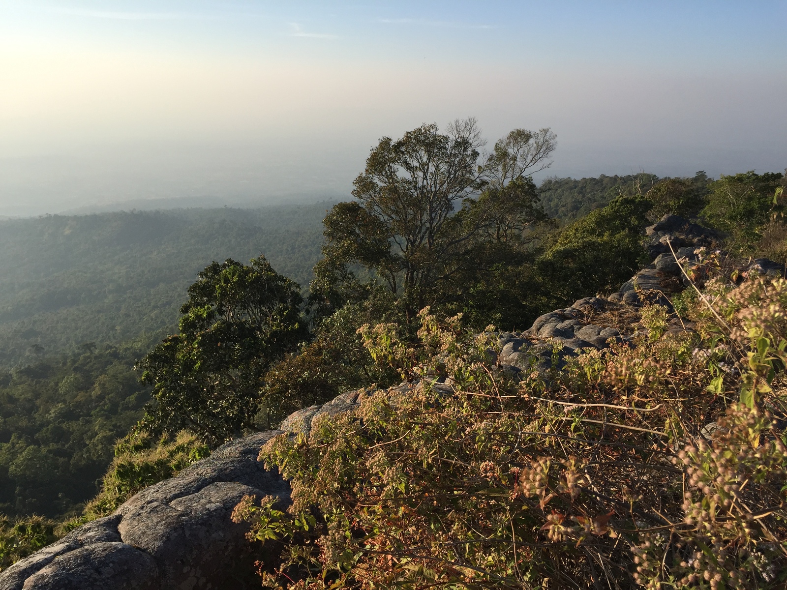 รูปถ่าย ไทย(Thailand) อุทยานแห่งชาติภูหินร่องกล้า(Phu Hin Rong Kla National Park) 2014-12 2