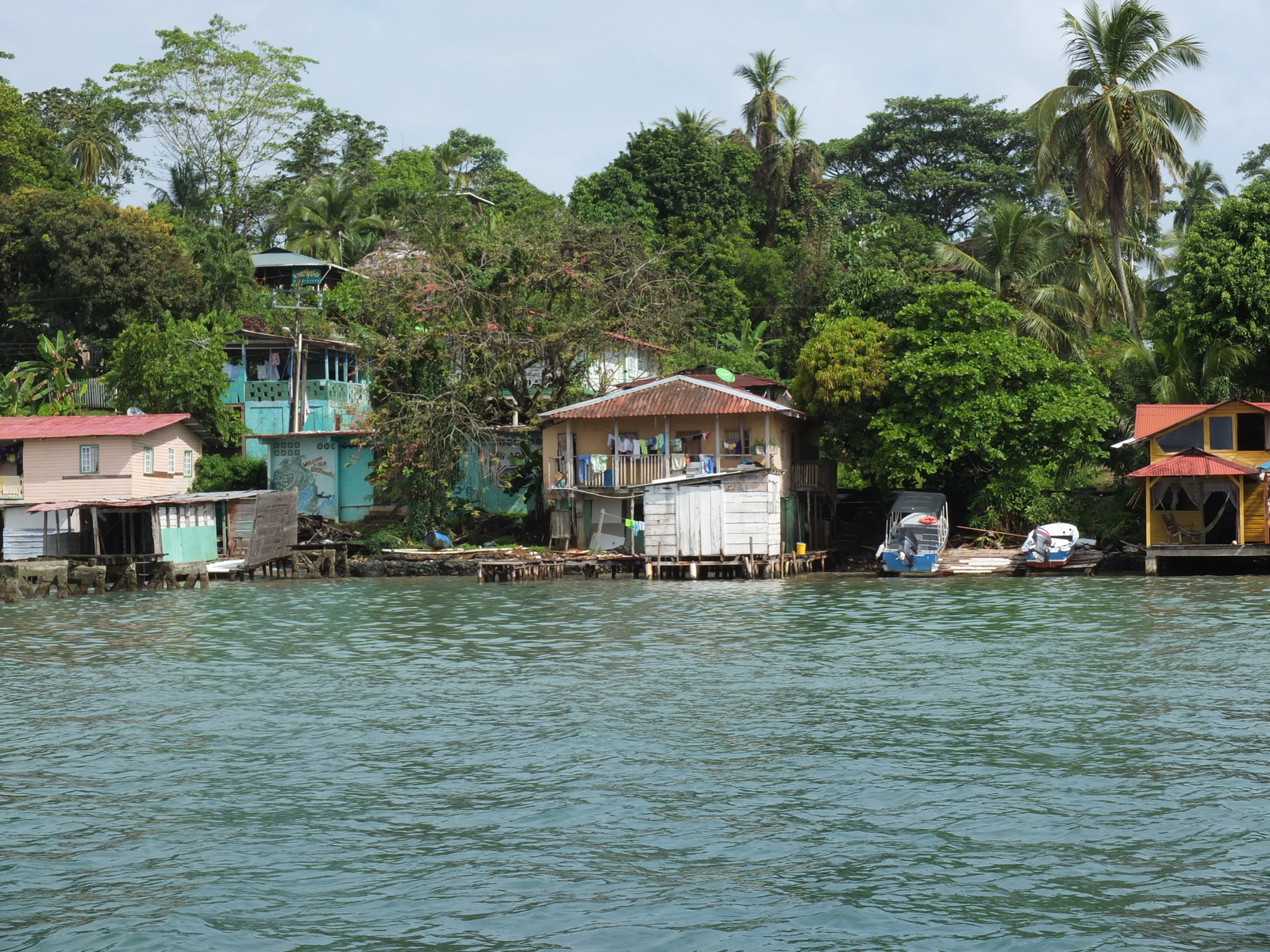 รูปถ่าย ปานามา(Panama) เกาะบาสติเมนโตส(Bastimentos) 2015-03 43
