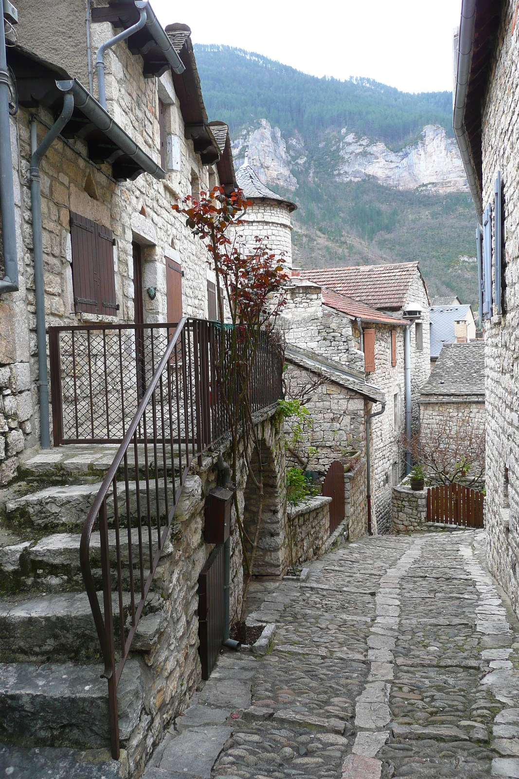 รูปถ่าย ฝรั่งเศส(France) แซ็งเตนีมี(Sainte Enimie) 2008-04 9