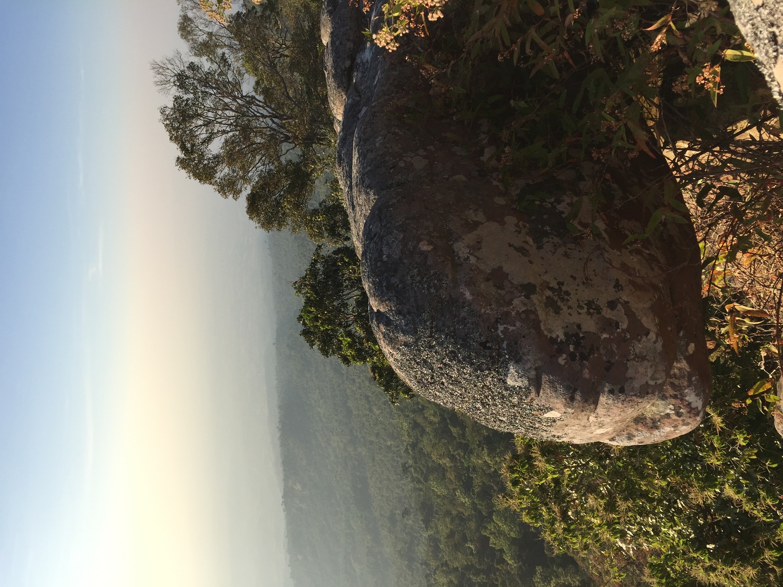 รูปถ่าย ไทย(Thailand) อุทยานแห่งชาติภูหินร่องกล้า(Phu Hin Rong Kla National Park) 2014-12 400