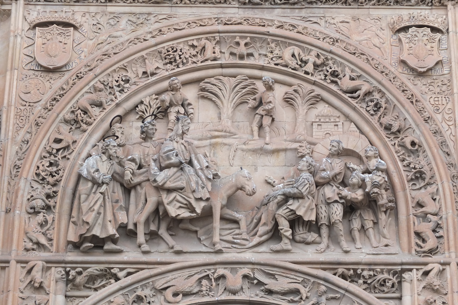 รูปถ่าย สเปน(Spain) ซาลามังกา(Salamanca) 2013-01 114