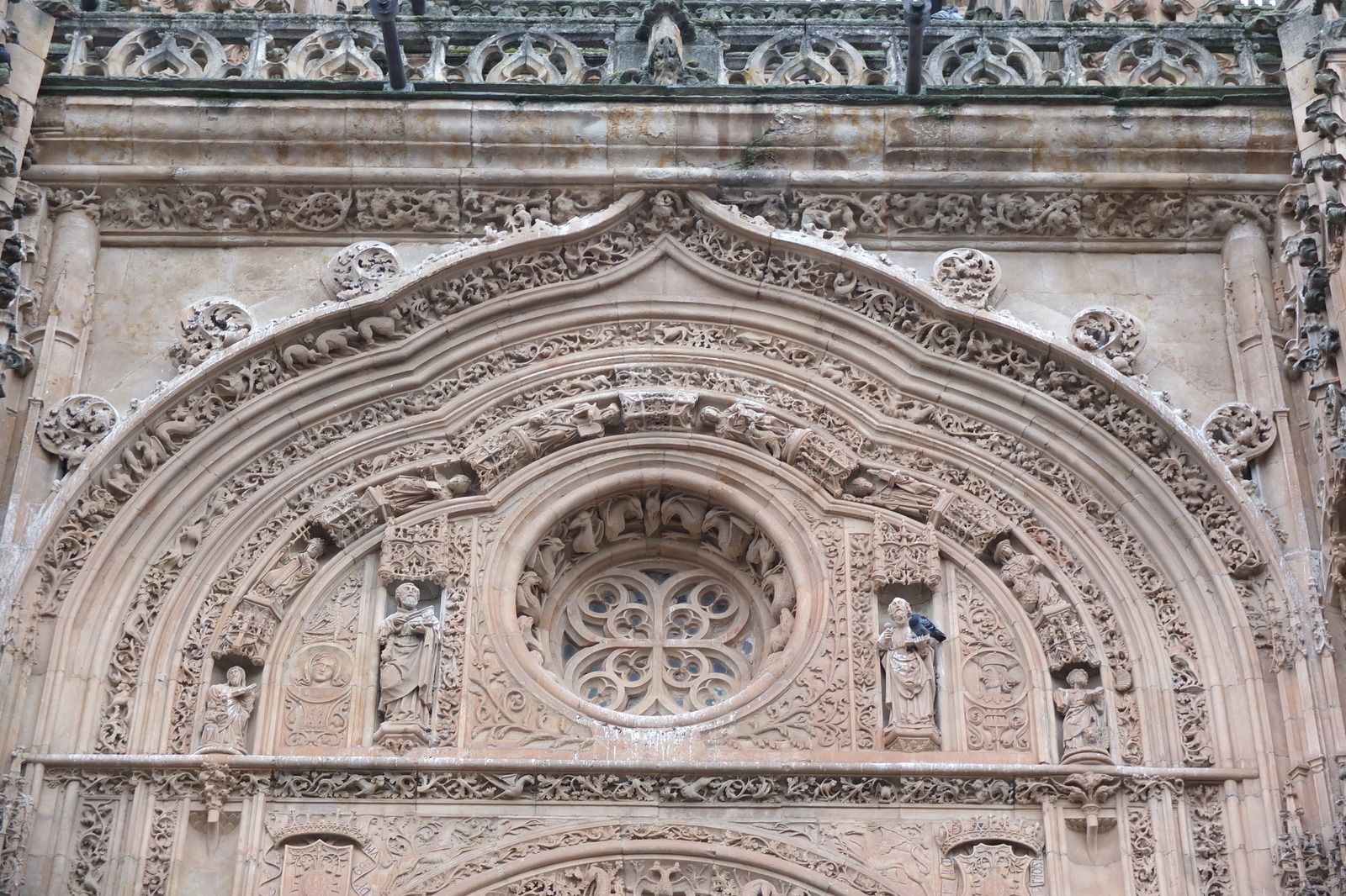 รูปถ่าย สเปน(Spain) ซาลามังกา(Salamanca) 2013-01 119
