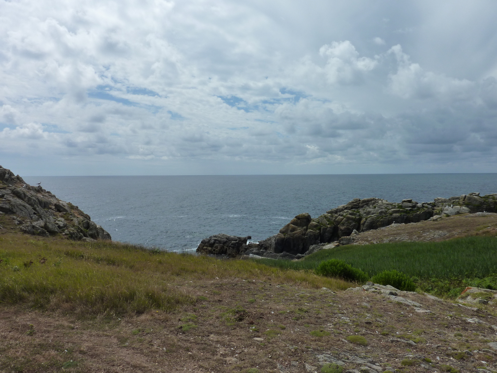 รูปถ่าย ฝรั่งเศส(France) เกาะดีเยอ(Ile d'yeu) 2009-07 44
