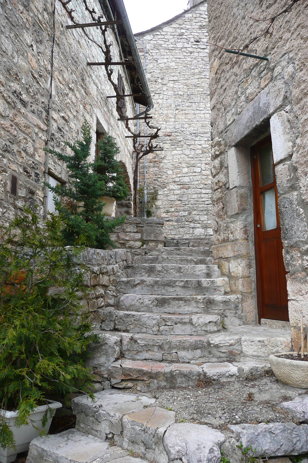 รูปถ่าย ฝรั่งเศส(France) แซ็งเตนีมี(Sainte Enimie) 2008-04 19