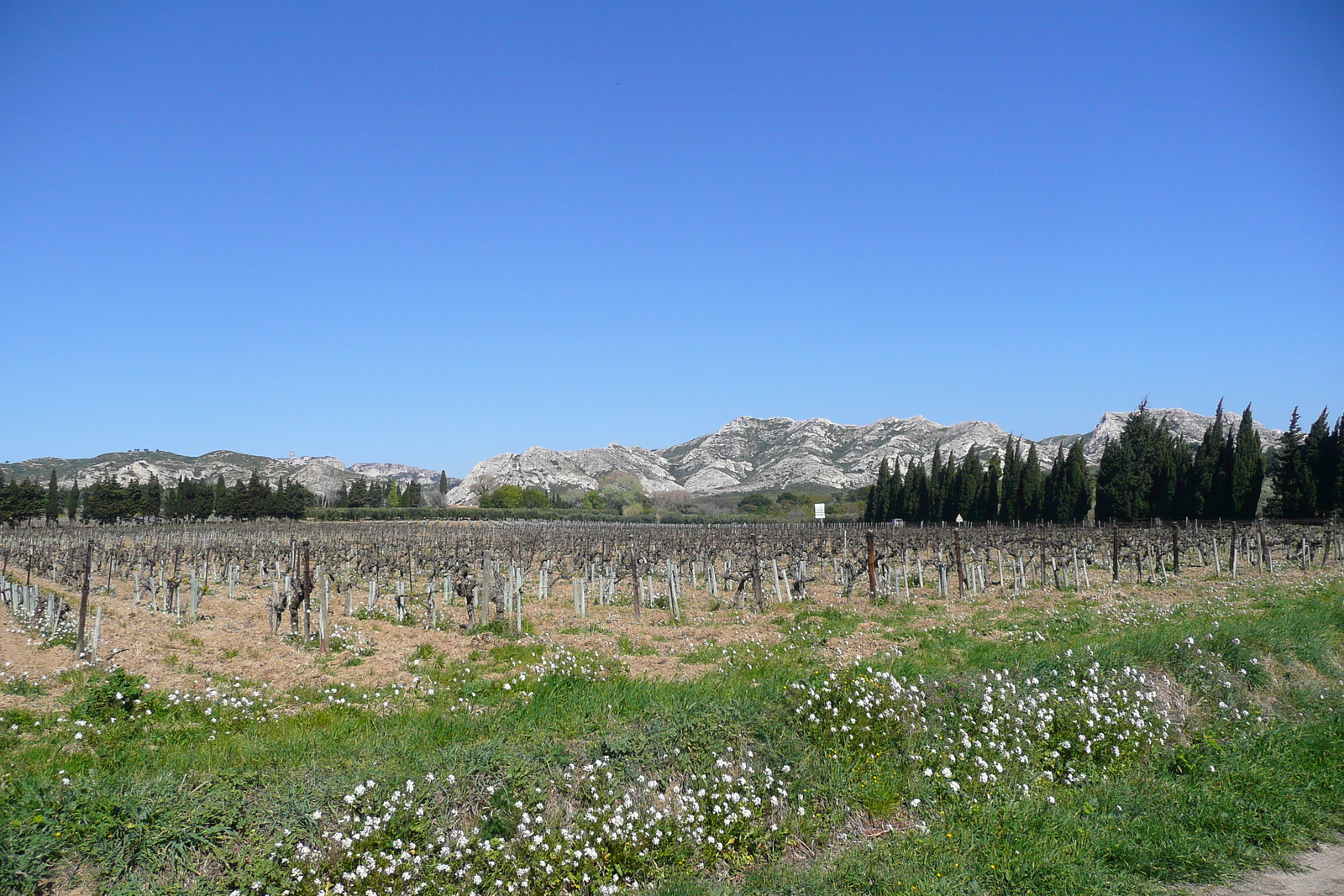 รูปถ่าย ฝรั่งเศส(France) โพรว็องส์(Provence) ถนนจากมูรีแยสไปโบเดอโพรว็องส์(Mouries to Baux de Provence road) 2008-04 6