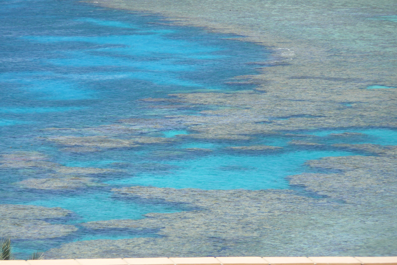 รูปถ่าย อียิปต์(Egypt) ชาร์มเอลชีค(Sharm el Sheikh) โรงแรมไฮแอต(Hyatt Hotel) หาดไฮแอต ชาร์มเอลชีค(Hyatt Sharm el Sheikh Beach) 2008-06 6