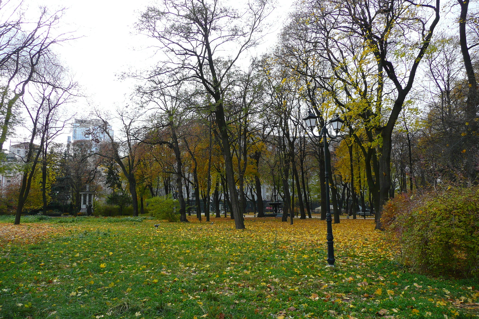 รูปถ่าย ยูเครน(Ukraine) เคียฟ(Kiev) มารีอินสกี้(Mariinsky) 2007-11 15