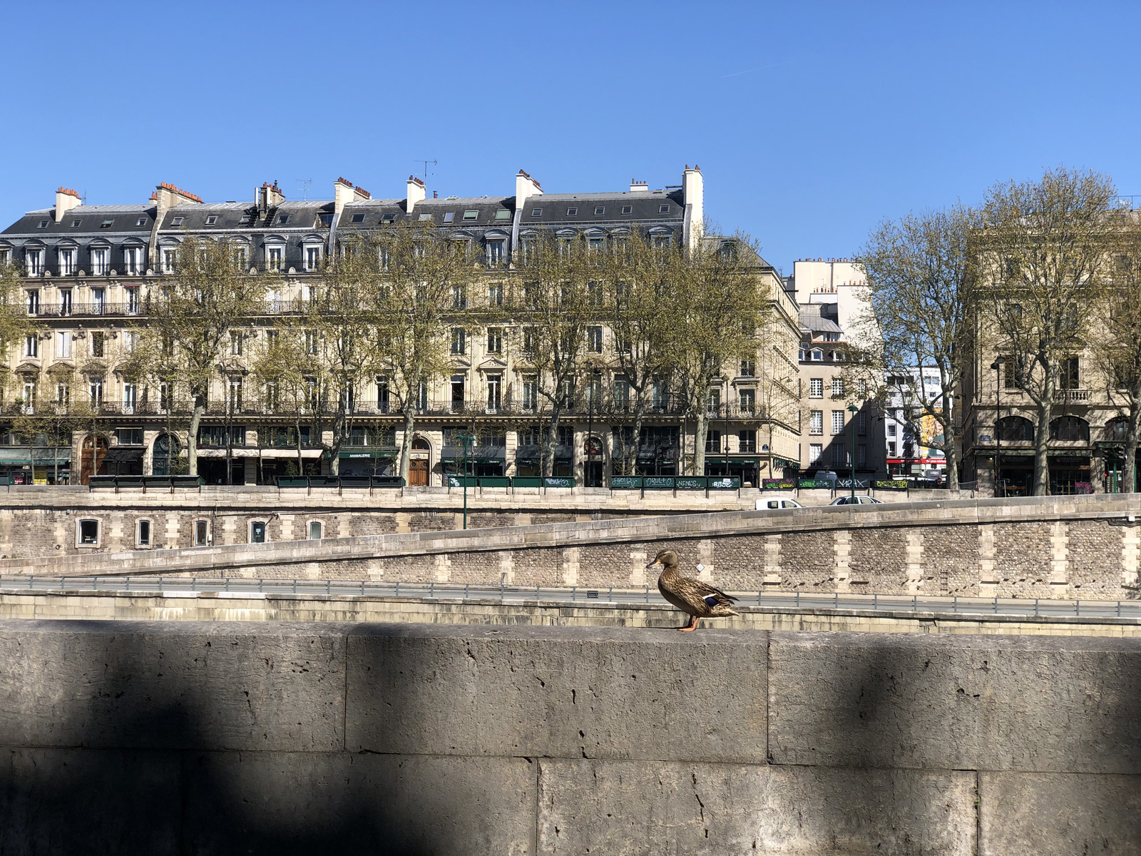 รูปถ่าย ฝรั่งเศส(France) ปารีสช่วงล็อกดาวน์(Paris lockdown) 2020-04 300