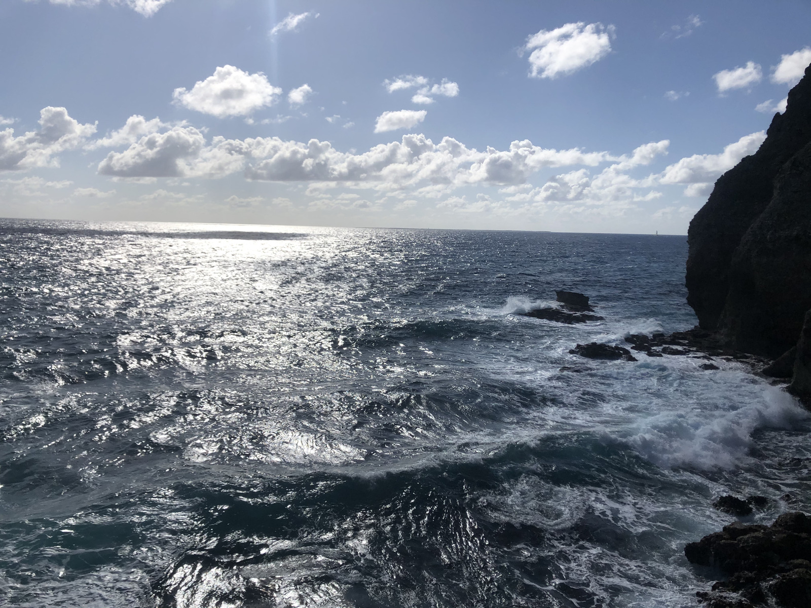 รูปถ่าย กวาเดอลูป(Guadeloupe) แหลมคาสเซิลพอยต์(Castle Point) 2021-02 107