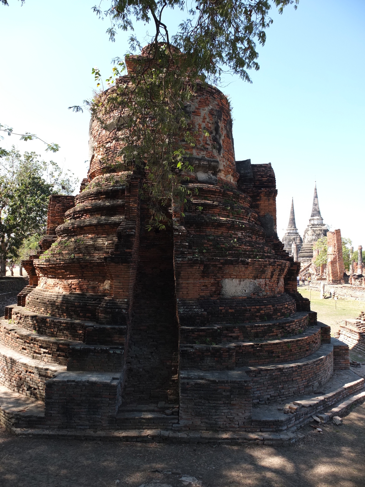 รูปถ่าย ไทย(Thailand) อยุธยา(Ayutthaya) 2011-12 91