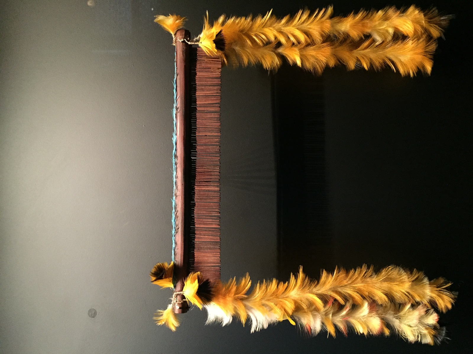 รูปถ่าย ฝรั่งเศส(France) ปารีส(Paris) พิพิธภัณฑ์เกบร็องลี(Quai Branly Museum) 2015-09 12