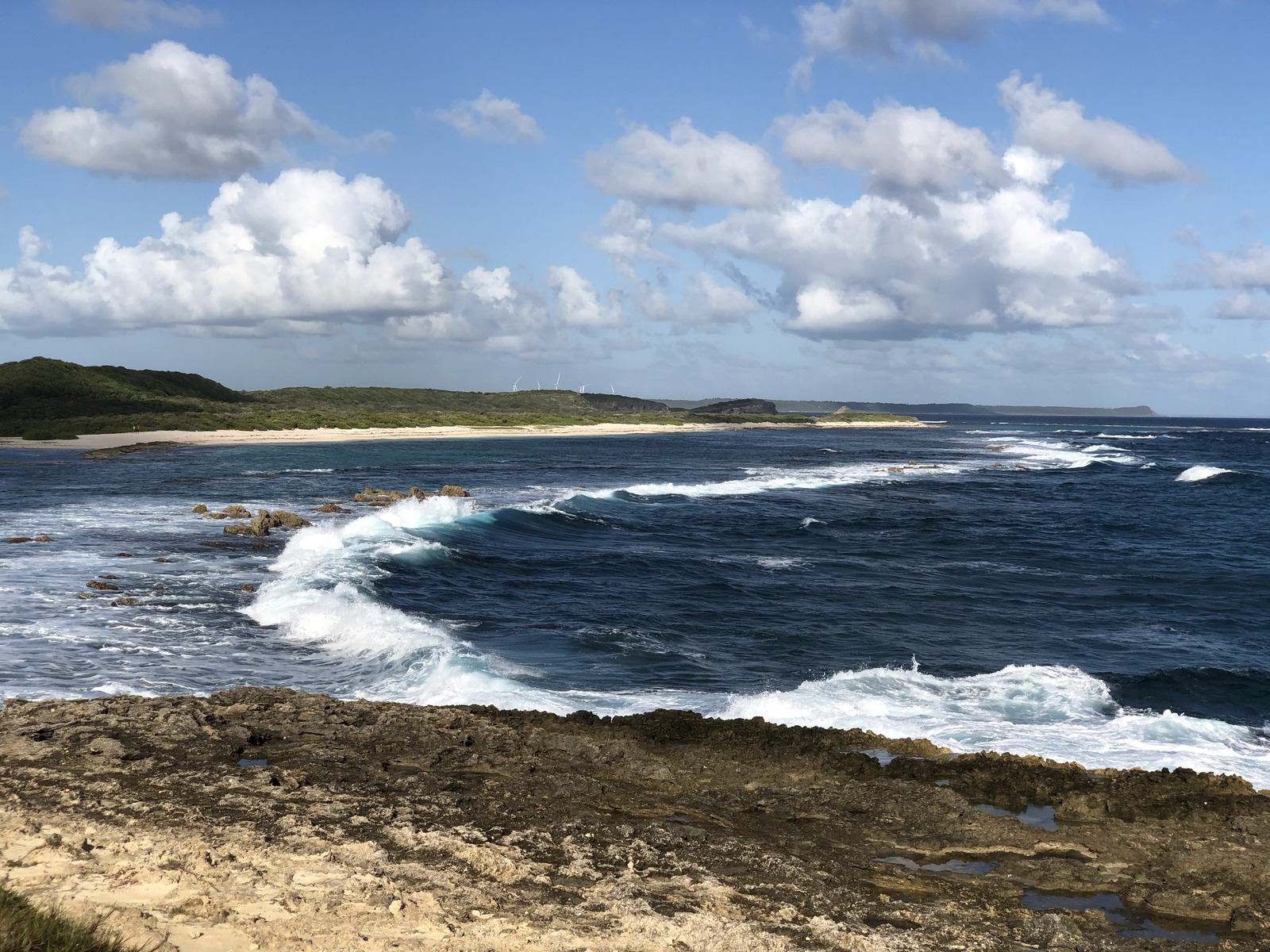 รูปถ่าย กวาเดอลูป(Guadeloupe) แหลมคาสเซิลพอยต์(Castle Point) 2021-02 344