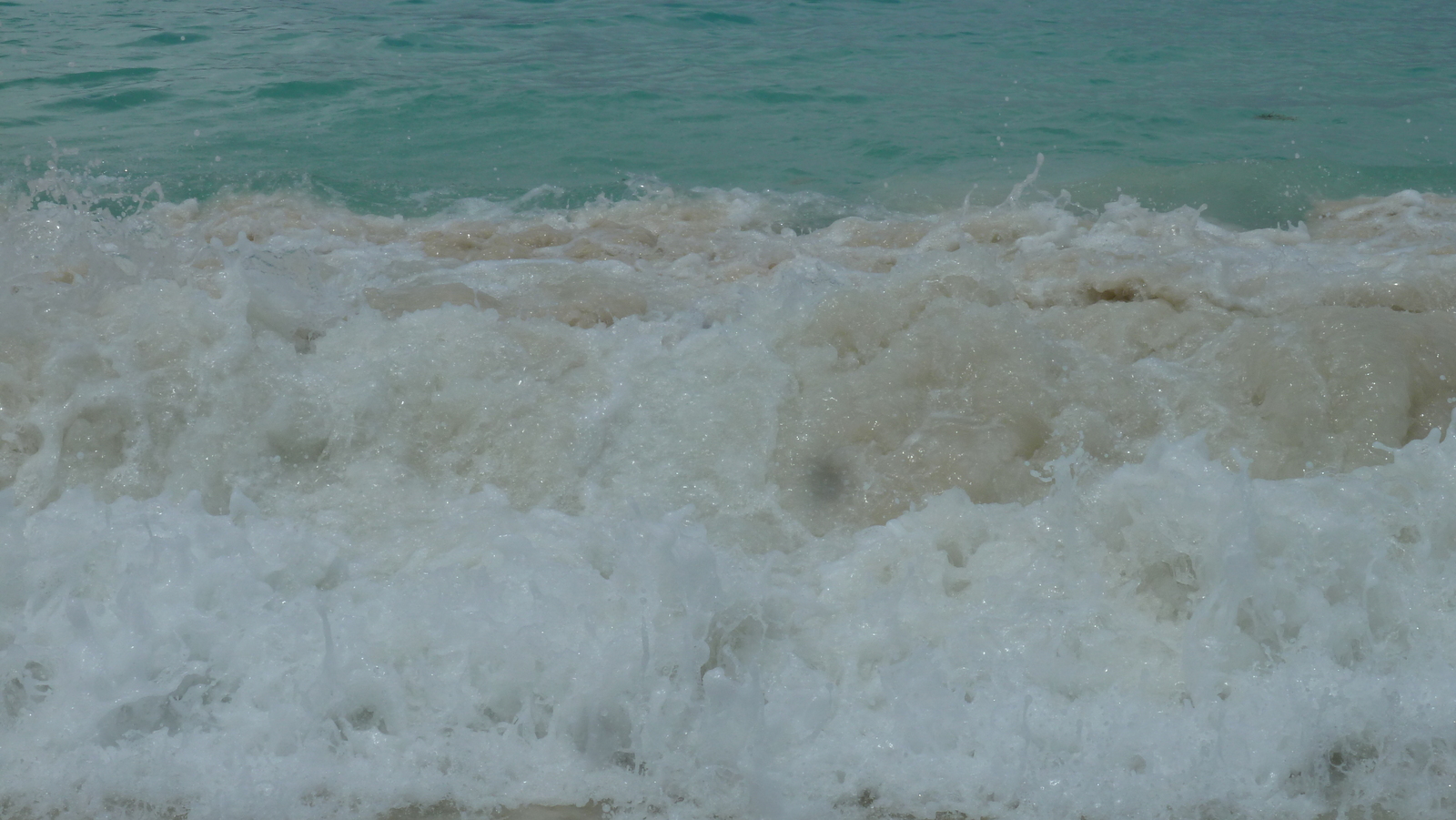 รูปถ่าย เซเชลส์(Seychelles) อ่าวอ็องส์ลาซิโอ(Anse Lazio) 2011-10 167