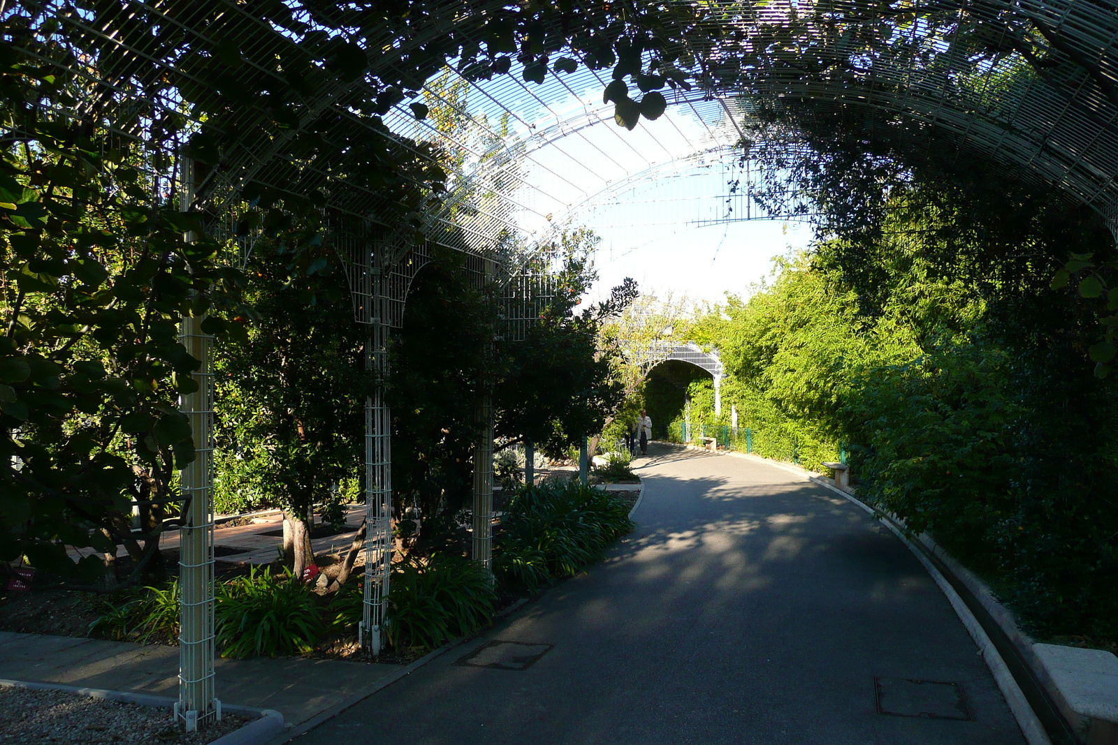 รูปถ่าย ฝรั่งเศส(France) นีส(Nice) สวนฟีนิกซ์(Phoenix Parc) 2007-10 100