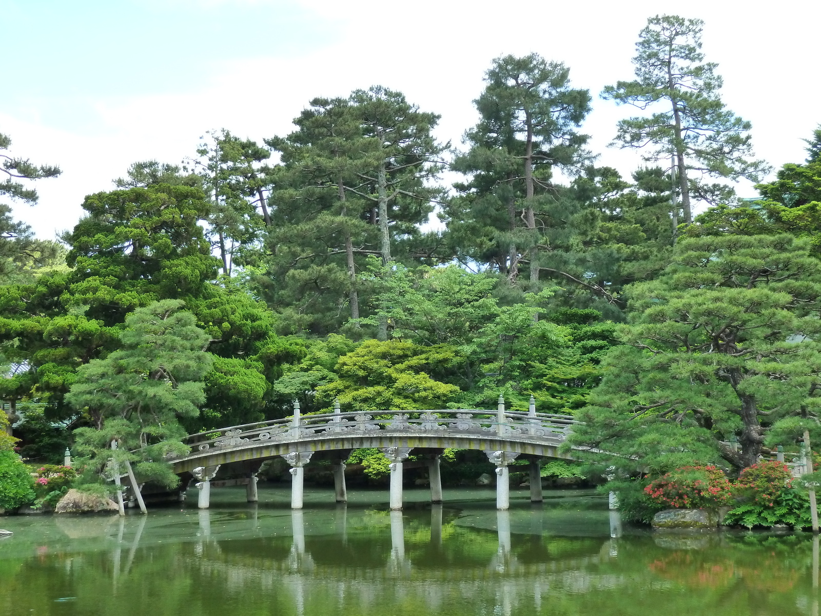 รูปถ่าย ญี่ปุ่น(Japan) เกียวโต(Kyoto) พระราชวังหลวงเกียวโต(Kyoto Imperial Palace) 2010-06 42