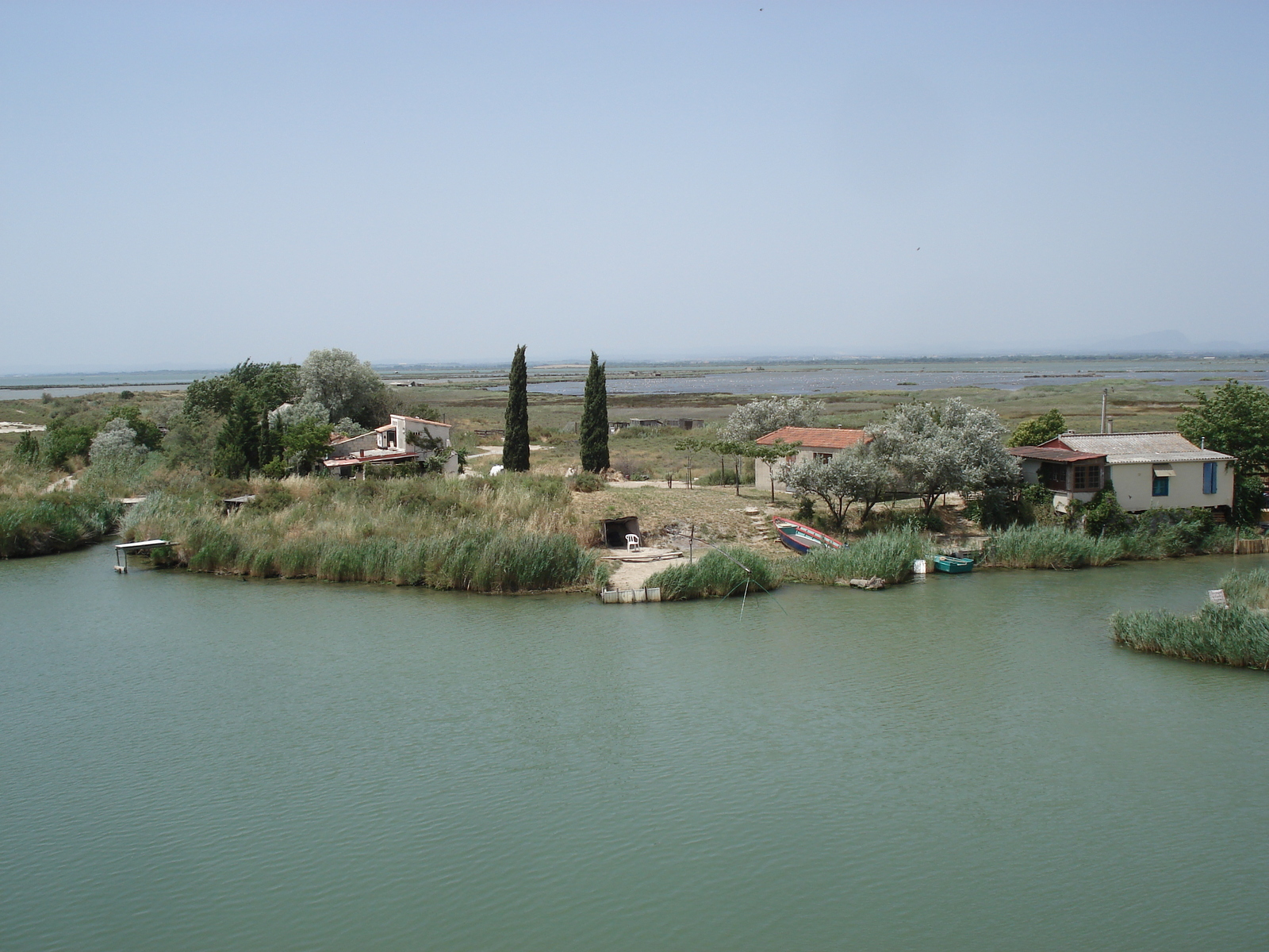 รูปถ่าย ฝรั่งเศส(France) กามาร์เกอ(Camargue) 2006-06 1