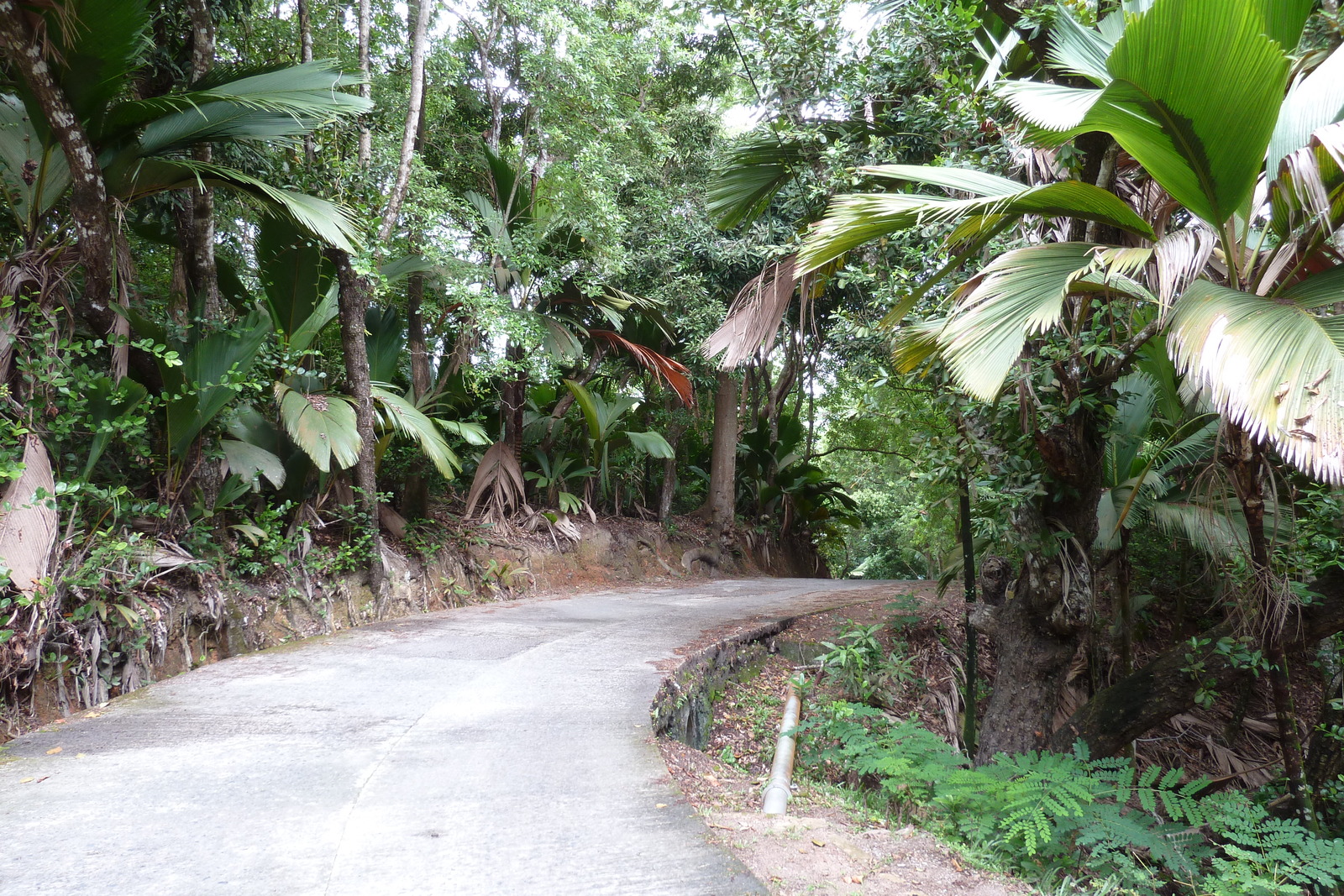 รูปถ่าย เซเชลส์(Seychelles) เกาะปราลิน(Praslin) 2011-10 35