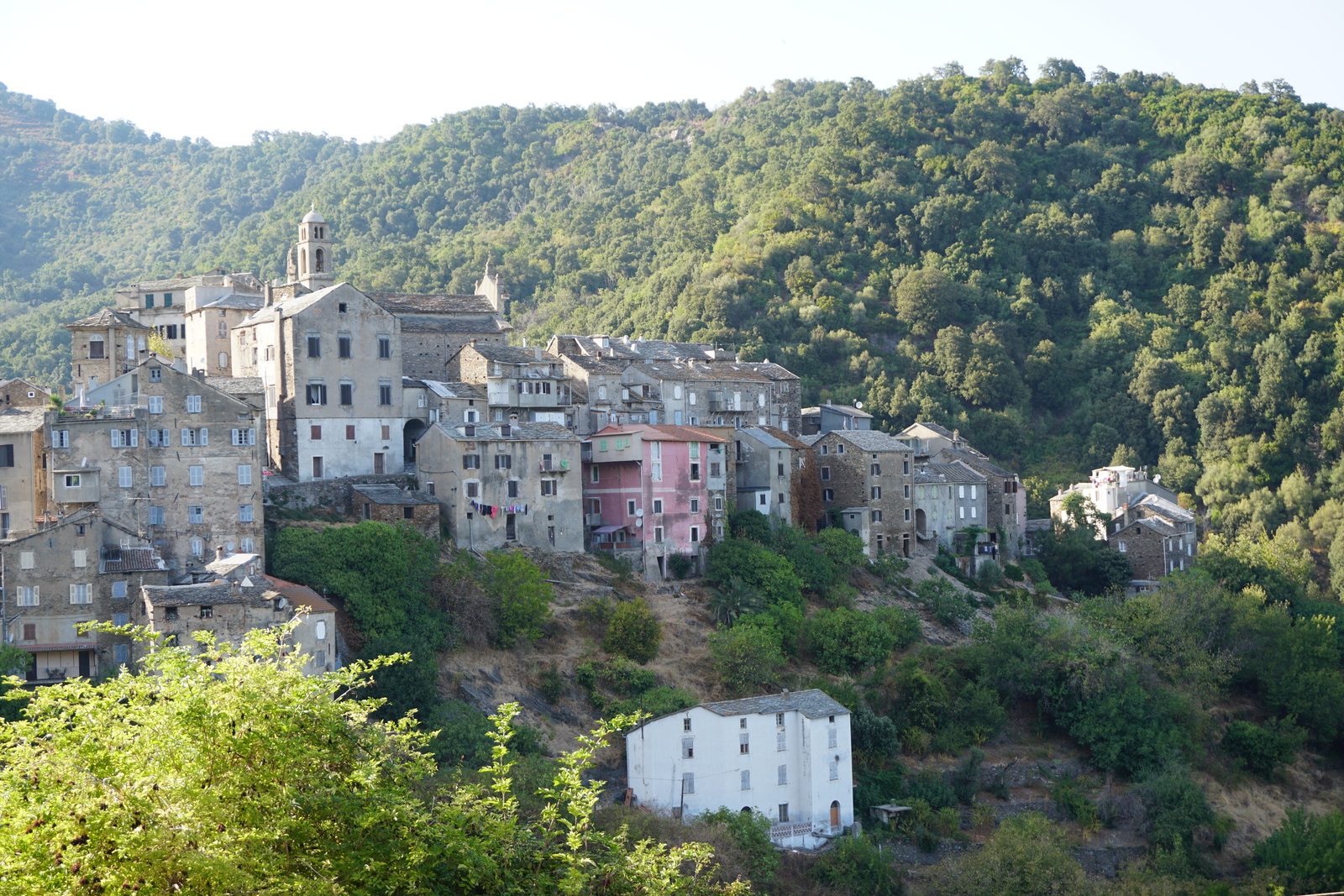 รูปถ่าย ฝรั่งเศส(France) คอร์สิคา(Corsica) เวสโกวาโต(Vescovato) 2017-09 5