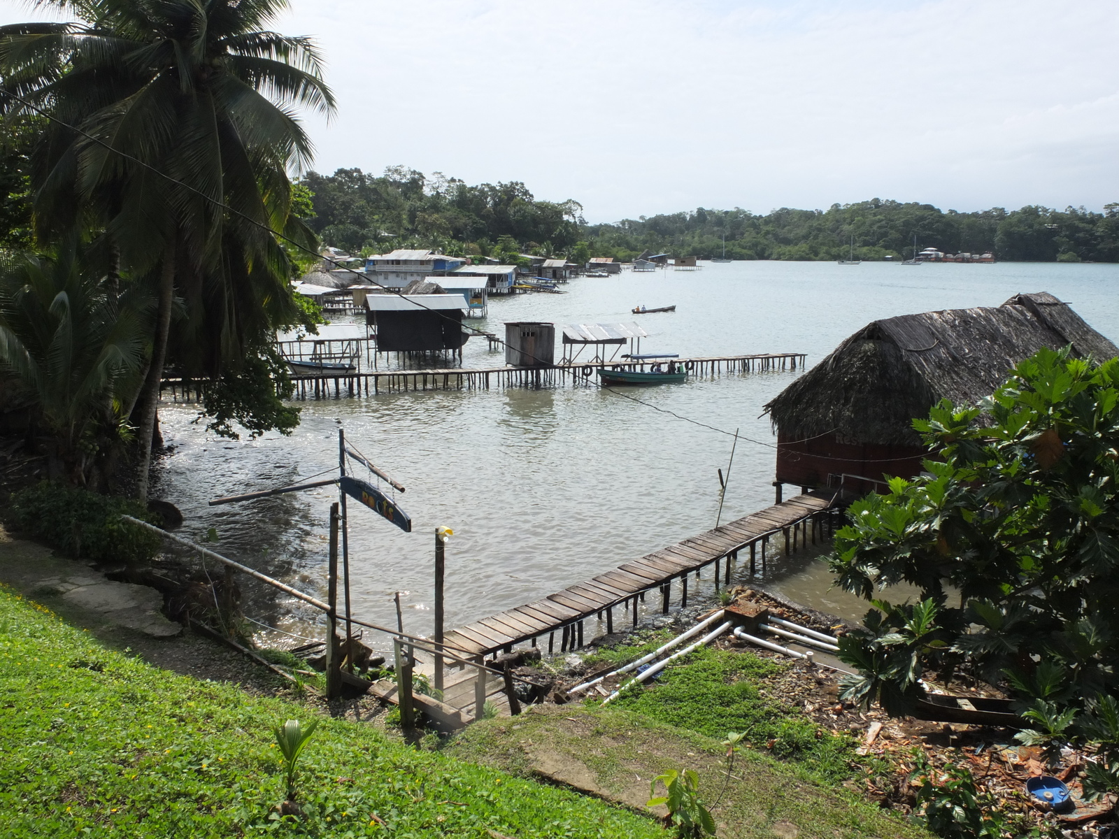 รูปถ่าย ปานามา(Panama) เกาะบาสติเมนโตส(Bastimentos) 2015-03 33