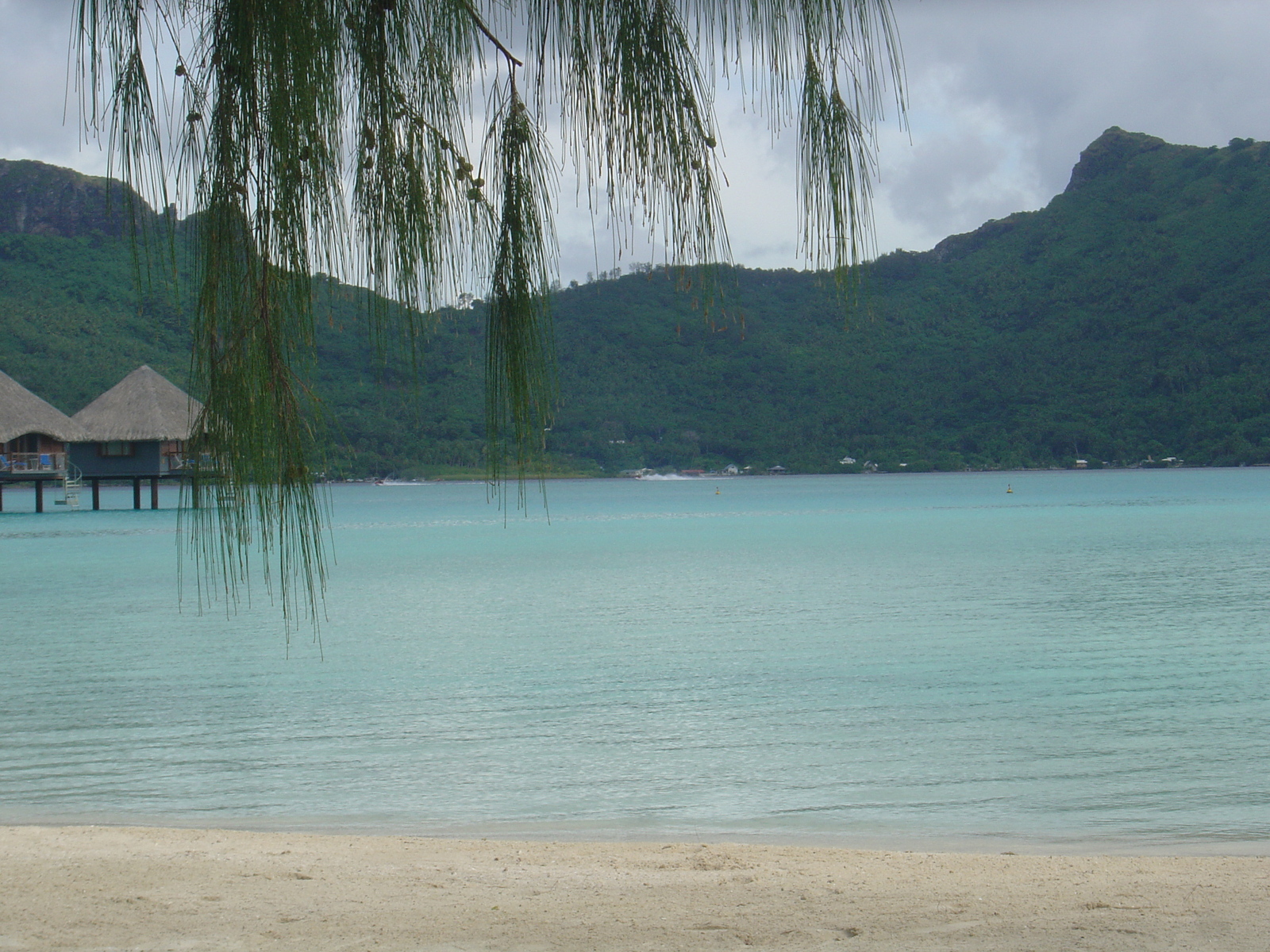 รูปถ่าย เฟรนช์โพลี่นีเซีย(Polynesia) โรงแรมเลอเมอริเดียน โบราโบรา(Meridien Bora Bora Hotel) 2006-04 143