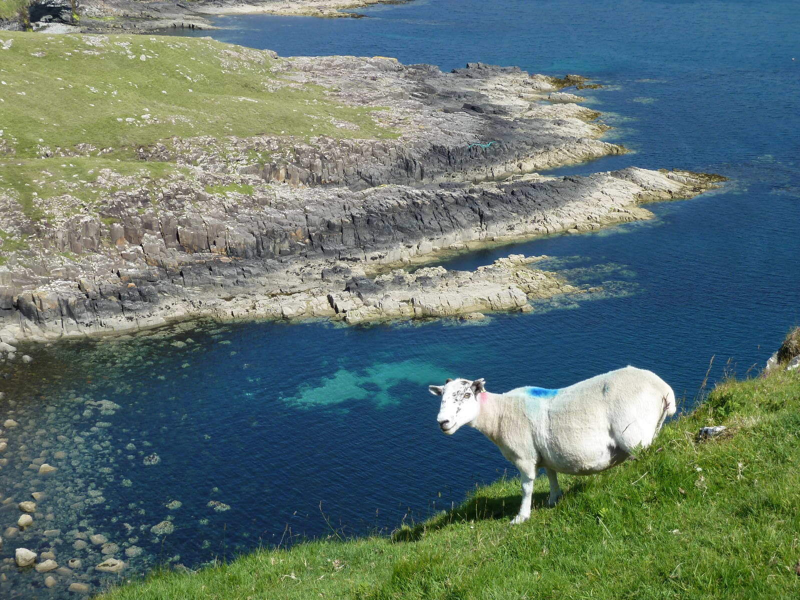 รูปถ่าย อังกฤษ(United Kingdom) สกอตแลนด์(Scotland) 2011-07 131