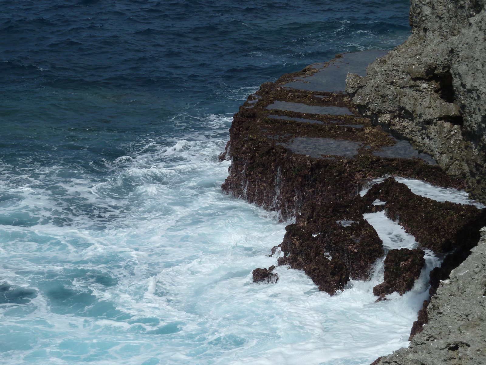 รูปถ่าย นิวแคลิโดเนีย(New Caledonia) เกาะลีฟู(Lifou) หน้าผาโซเดร(Xodre Cliffs) 2010-05 4