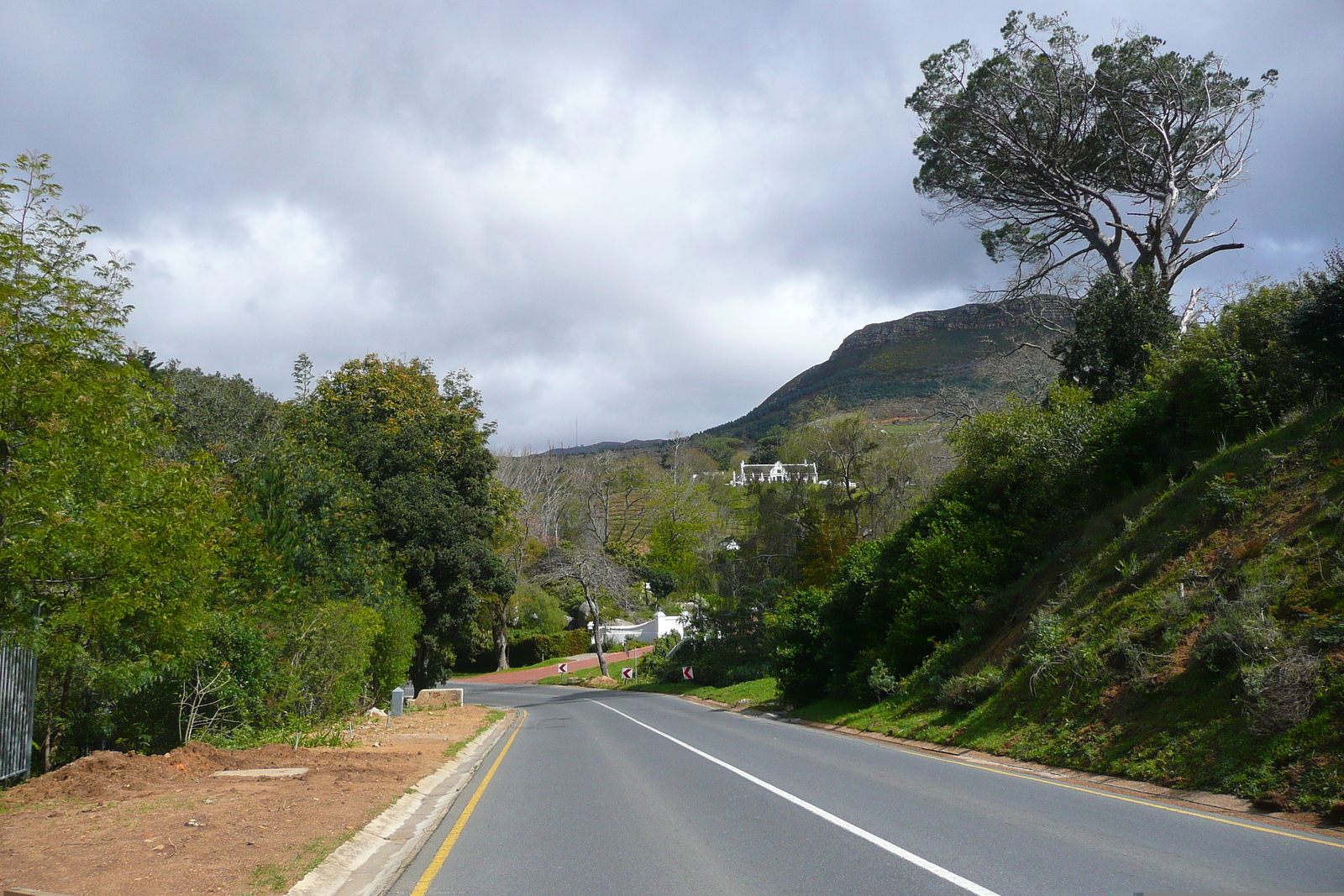 รูปถ่าย แอฟริกาใต้(South Africa) แหลมกู๊ดโฮป(Cape of Good Hope) 2008-09 11