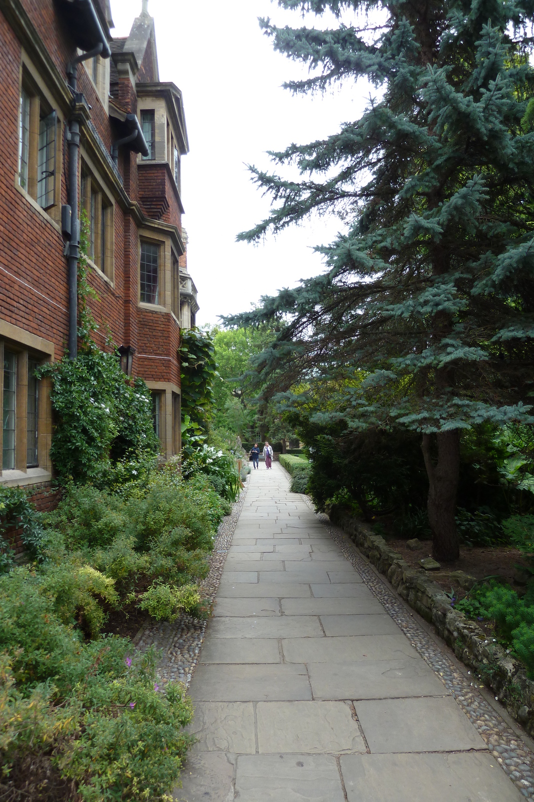 รูปถ่าย อังกฤษ(United Kingdom) เคมบริดจ์(Cambridge) 2011-07 16
