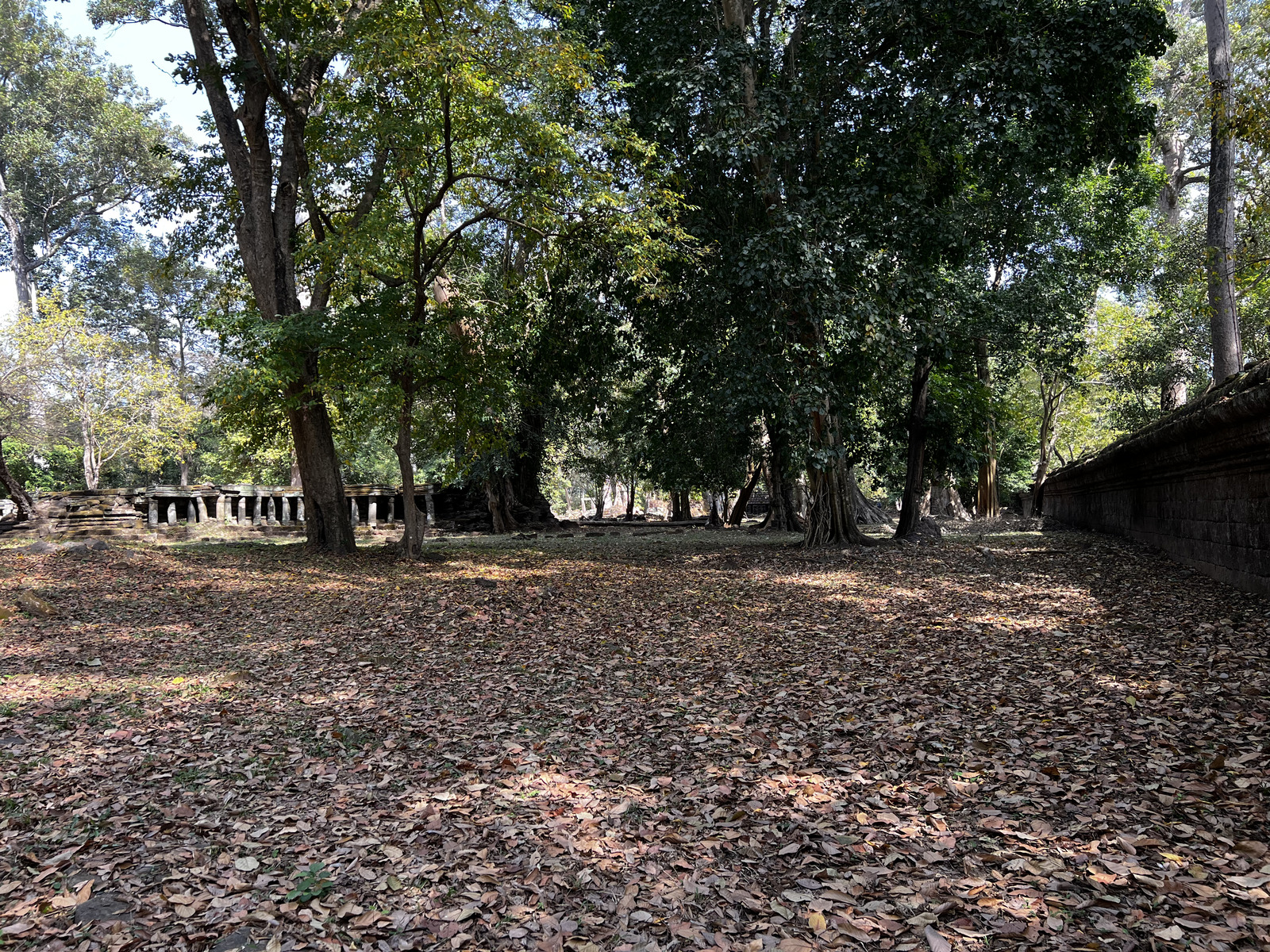 รูปถ่าย กัมพูชา(Cambodia) เสียมราฐ(Siem Reap) นครธม(Angkor Thom) 2023-01 32