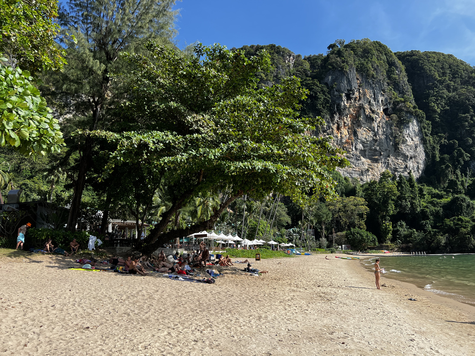 รูปถ่าย ไทย(Thailand) กระบี่(Krabi) 2023-01 359