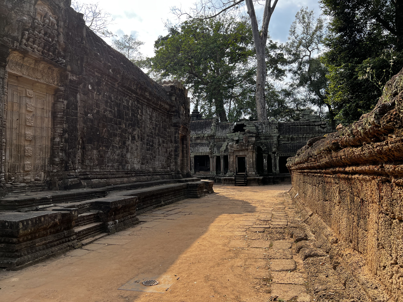 รูปถ่าย กัมพูชา(Cambodia) เสียมราฐ(Siem Reap) ปราสาทตาพรหม(Ta Prohm) 2023-01 117