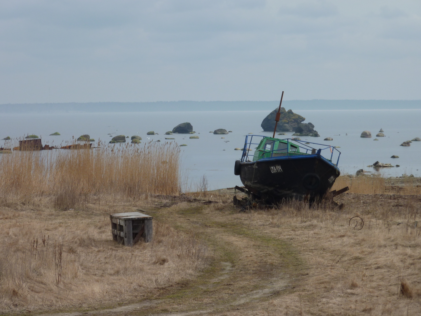 รูปถ่าย เอสโตเนีย(Estonia) ถนนจากทาลลินน์ไปฮาปซาลู(Tallinn to Haapsalu road) 2009-04 37