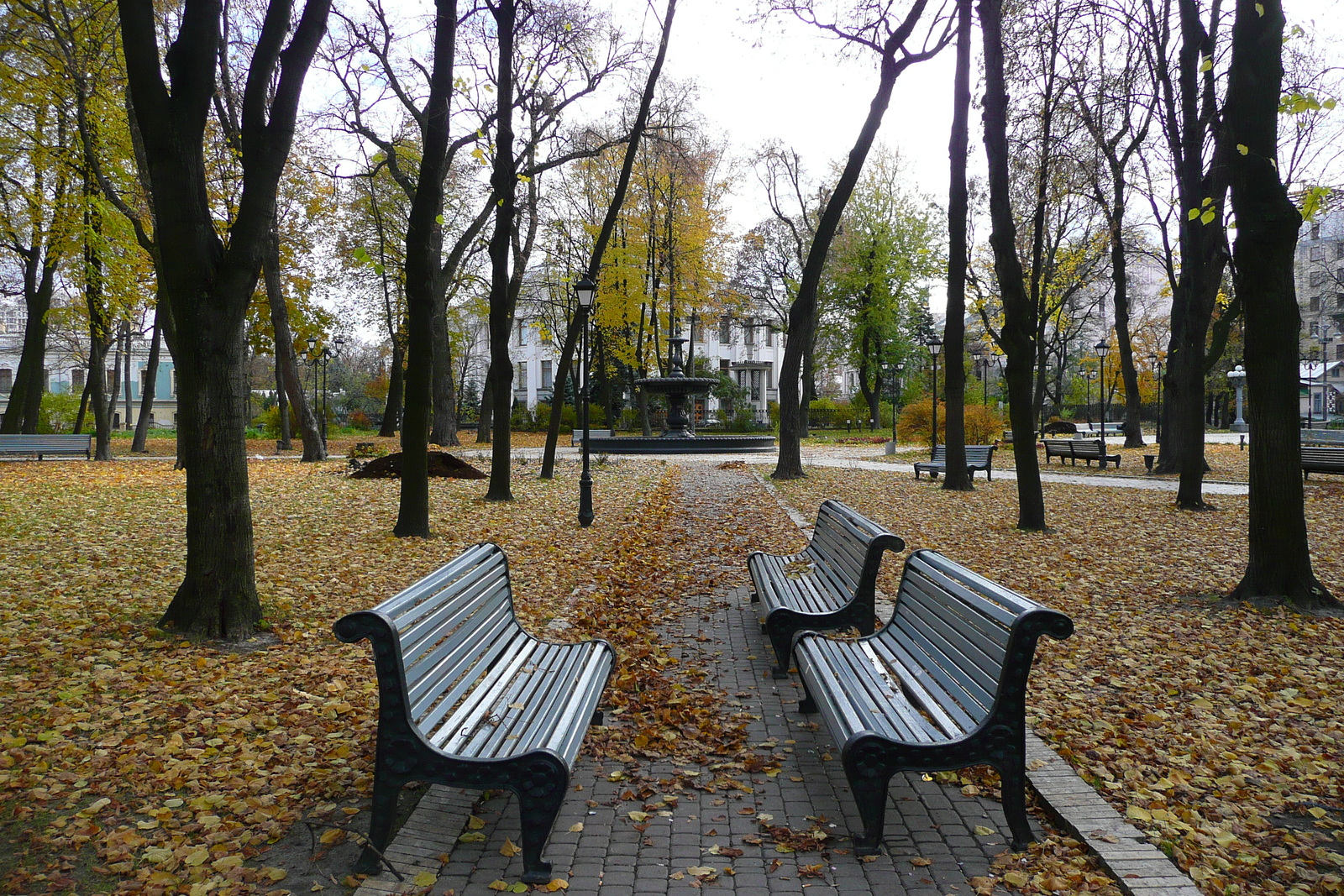 รูปถ่าย ยูเครน(Ukraine) เคียฟ(Kiev) มารีอินสกี้(Mariinsky) 2007-11 20