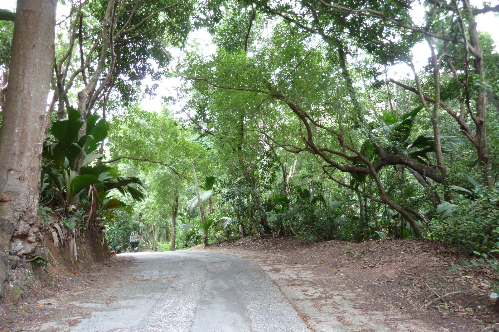 รูปถ่าย เซเชลส์(Seychelles) เกาะปราลิน(Praslin) 2011-10 123