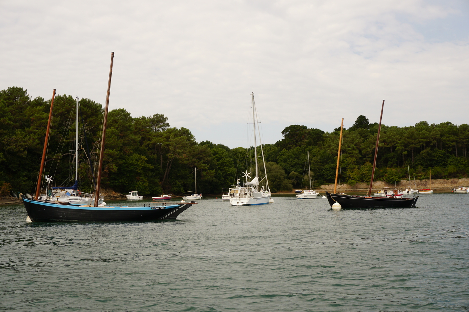 รูปถ่าย ฝรั่งเศส(France) อ่าวมอร์บีอ็อง(Golfe du Morbihan) 2016-08 77