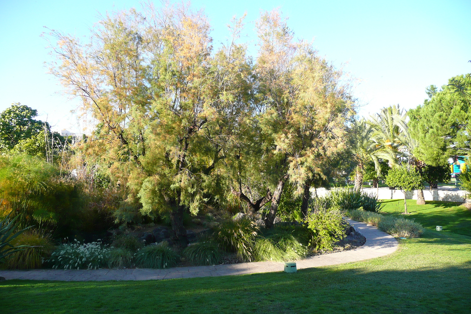 รูปถ่าย ฝรั่งเศส(France) นีส(Nice) สวนฟีนิกซ์(Phoenix Parc) 2007-10 31