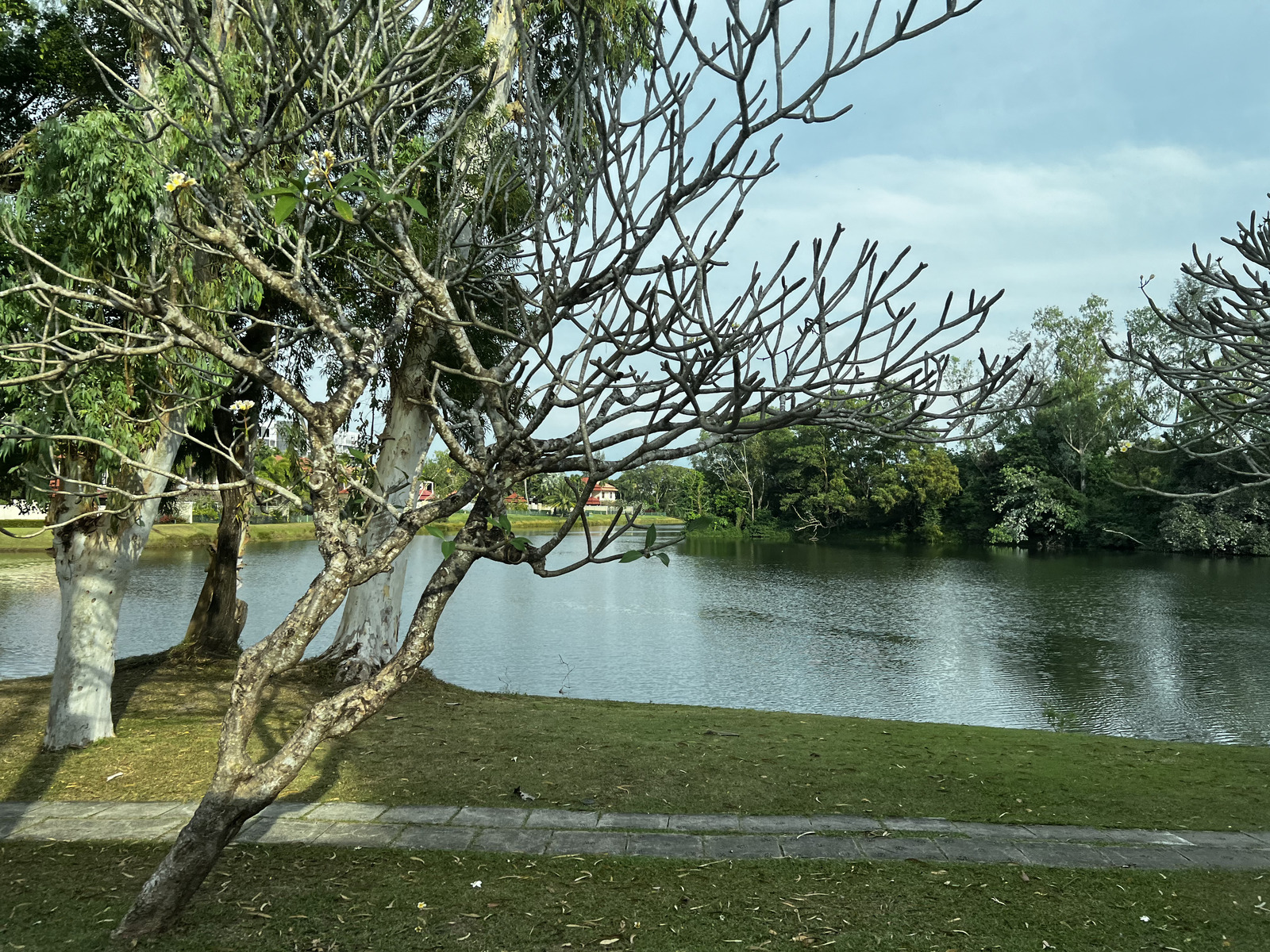 รูปถ่าย ไทย(Thailand) ภูเก็ต(Phuket) รอบภูเก็ต(Around Phuket) 2021-12 7