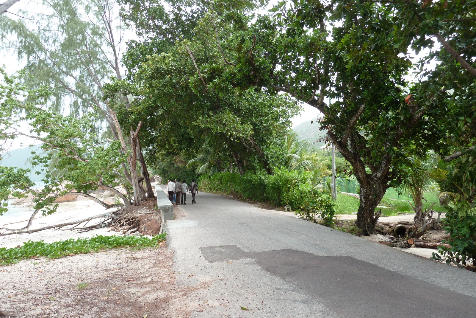 รูปถ่าย เซเชลส์(Seychelles) อ่าวอ็องส์ปอสเซสซียง(Anse Possession) 2011-10 75