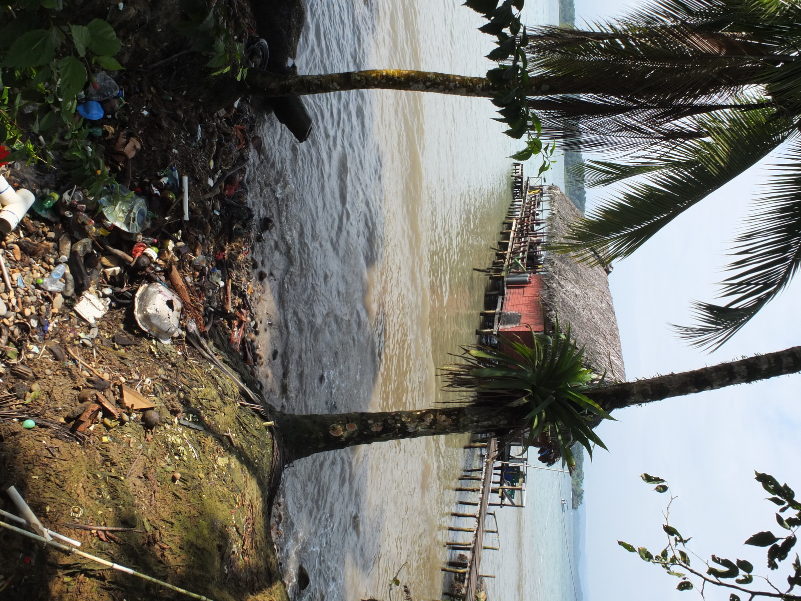 รูปถ่าย ปานามา(Panama) เกาะบาสติเมนโตส(Bastimentos) 2015-03 64