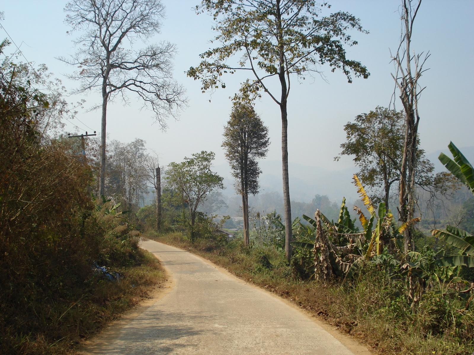 รูปถ่าย ไทย(Thailand) ปางมะผ้า(Pang Mapha) 2007-02 38