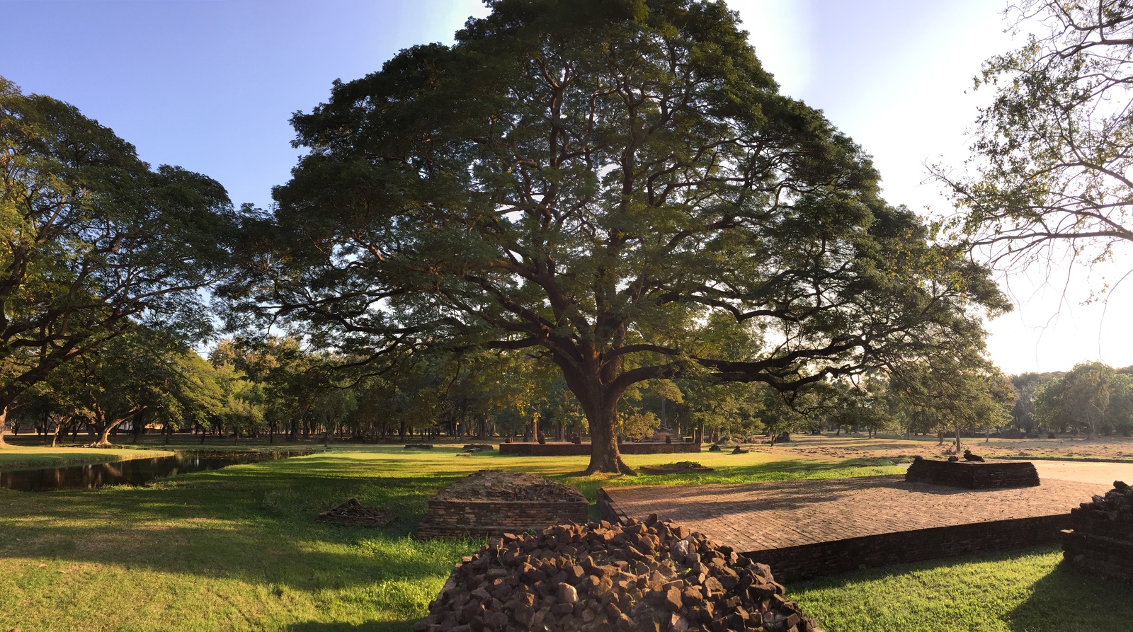 รูปถ่าย ไทย(Thailand) สุโขทัย(Sukhothai) 2014-12 58
