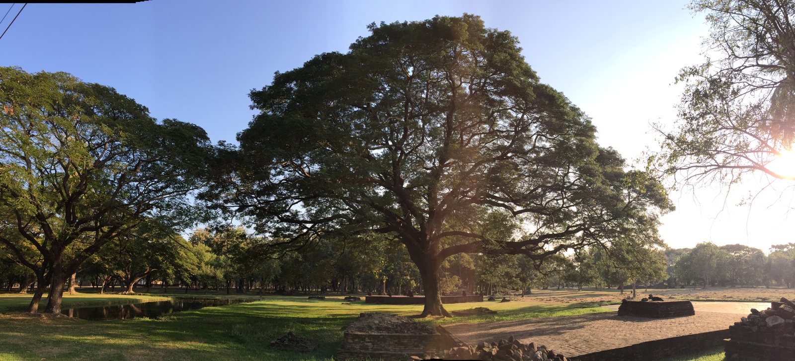 รูปถ่าย ไทย(Thailand) สุโขทัย(Sukhothai) 2014-12 46