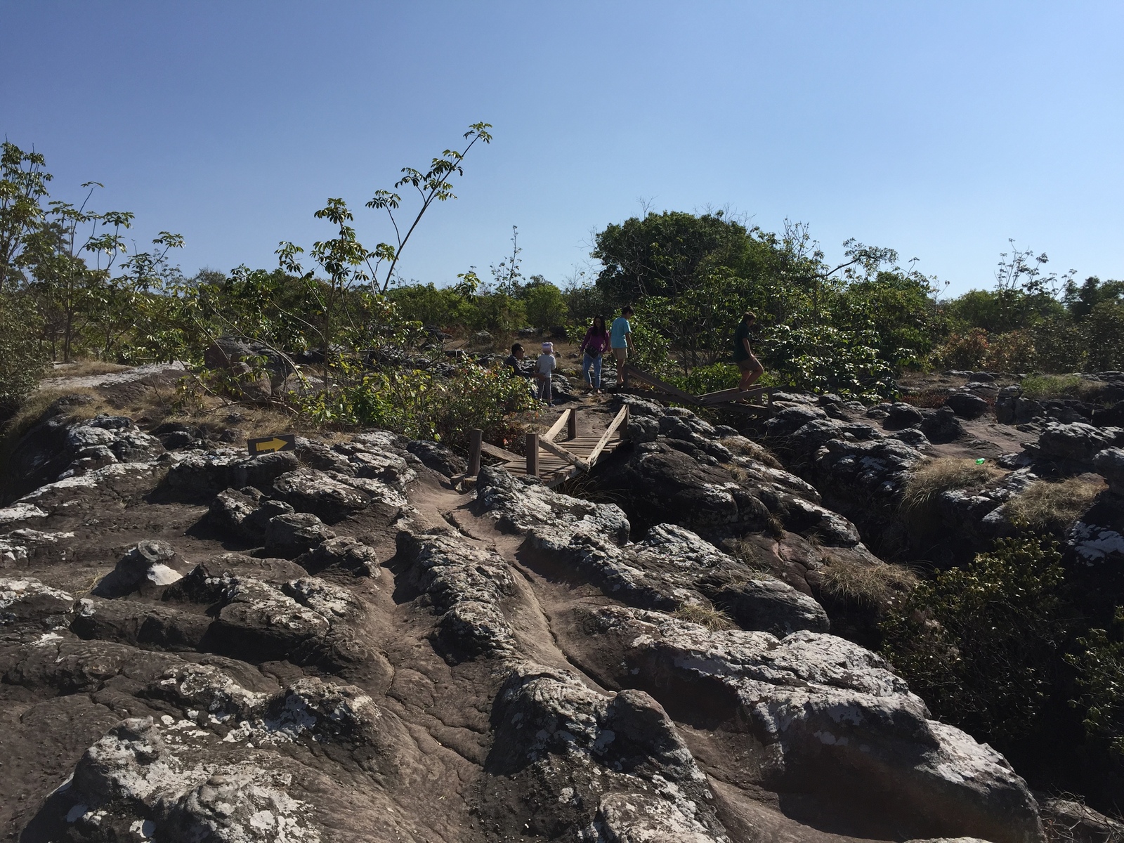 รูปถ่าย ไทย(Thailand) อุทยานแห่งชาติภูหินร่องกล้า(Phu Hin Rong Kla National Park) 2014-12 331
