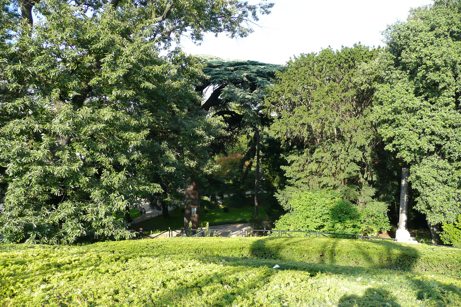 รูปถ่าย ฝรั่งเศส(France) ปารีส(Paris) สวนพันธ์ุพืช(Jardin des Plantes) 2007-08 199