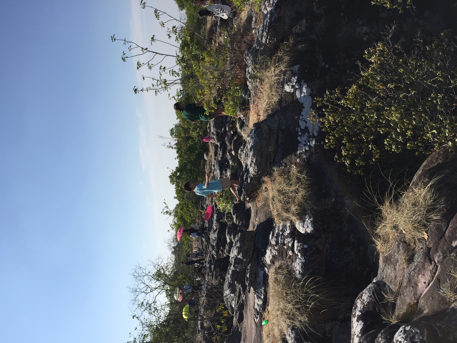รูปถ่าย ไทย(Thailand) อุทยานแห่งชาติภูหินร่องกล้า(Phu Hin Rong Kla National Park) 2014-12 86
